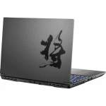 Игровой ноутбук Colorful EVOL X17 AT 23H1-HF76B1601TE-G-CC6 i7-12650H/16/SSD1Tb/RTX4060 8Gb/17.3"/W10/Grey