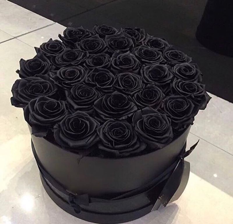 29 черных роз в коробке #26891