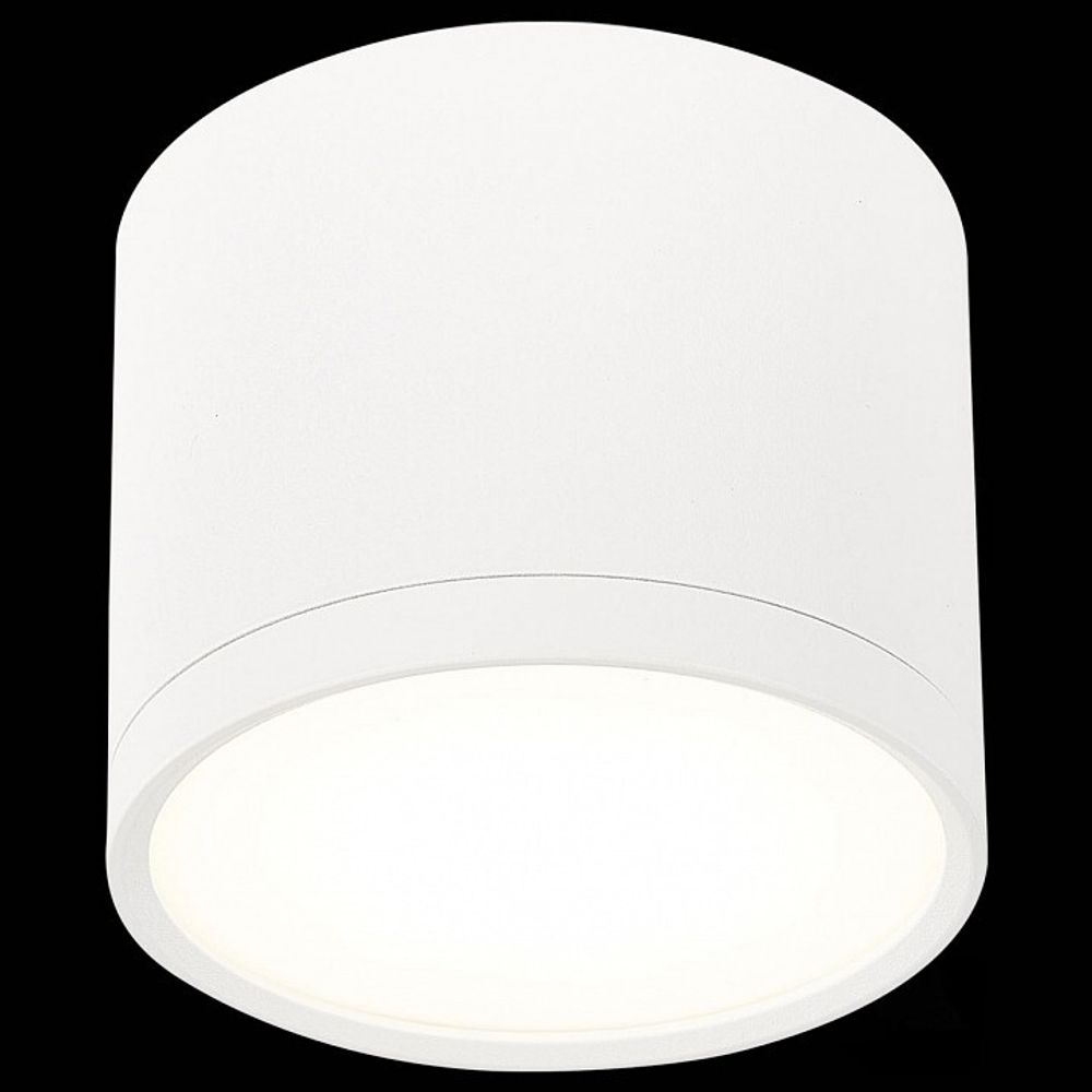 Накладной светильник ST-Luce Rene ST113.542.09