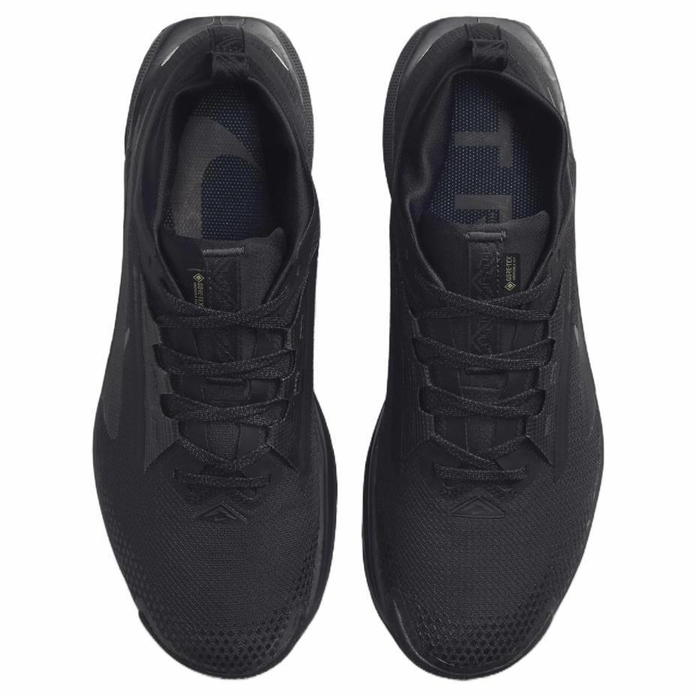 Кроссовки Nike Pegasus Trail 5 Gore-Tex