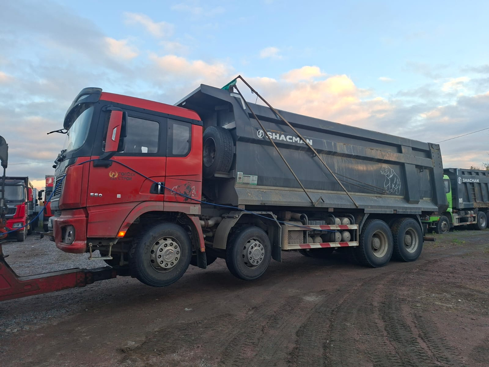 Shacman (Shaanxi) SX* 8x4 Самосвал SX331863366 (Дизельный, 12,5 л, 544 л.с., МТ)