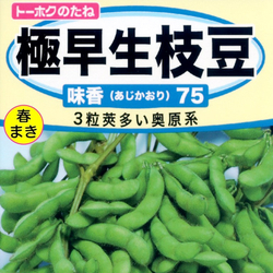 Зелёная Ультраскороспелая Овощная Соя - Эдамамэ