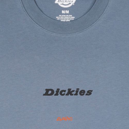 Футболка мужская Dickies Enterprise артикул:DK0A4YRNG701 - купить в магазине Дайс