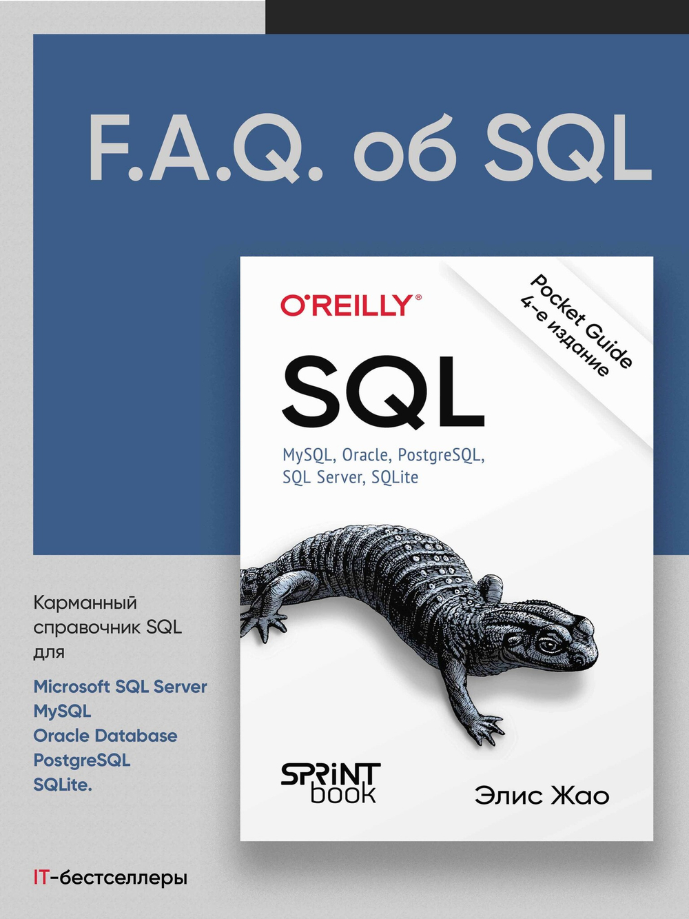 SQL. Pocket guide, 4-е изд.