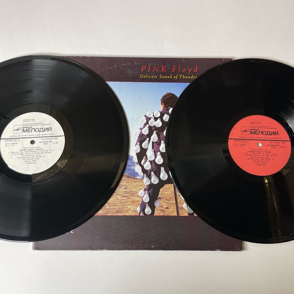 Винтажная виниловая пластинка LP Pink Floyd Delicate Sound Of Thunder (СССР 1990) Another Brick In The Wall