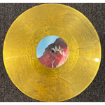 Unknown Mortal Orchestra / V (Coloured Vinyl)(2LP)