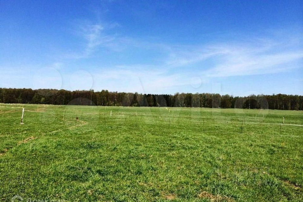 Участок в СНТ Ясное 6 соток