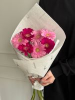 Кулек из 7 минигербер розового оттенка