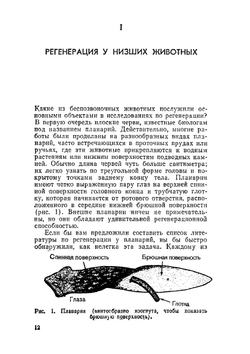 Регенерация - настоящее и будущее. В мире науки и техники | П. Мэттсон