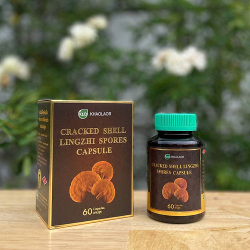 Споры Гриба Линчжи - Рейши Cracked Shell Lingzhi Spores Capsule Khaolaor