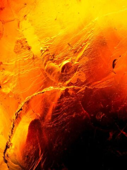 Пачули и амбра косметическая отдушка