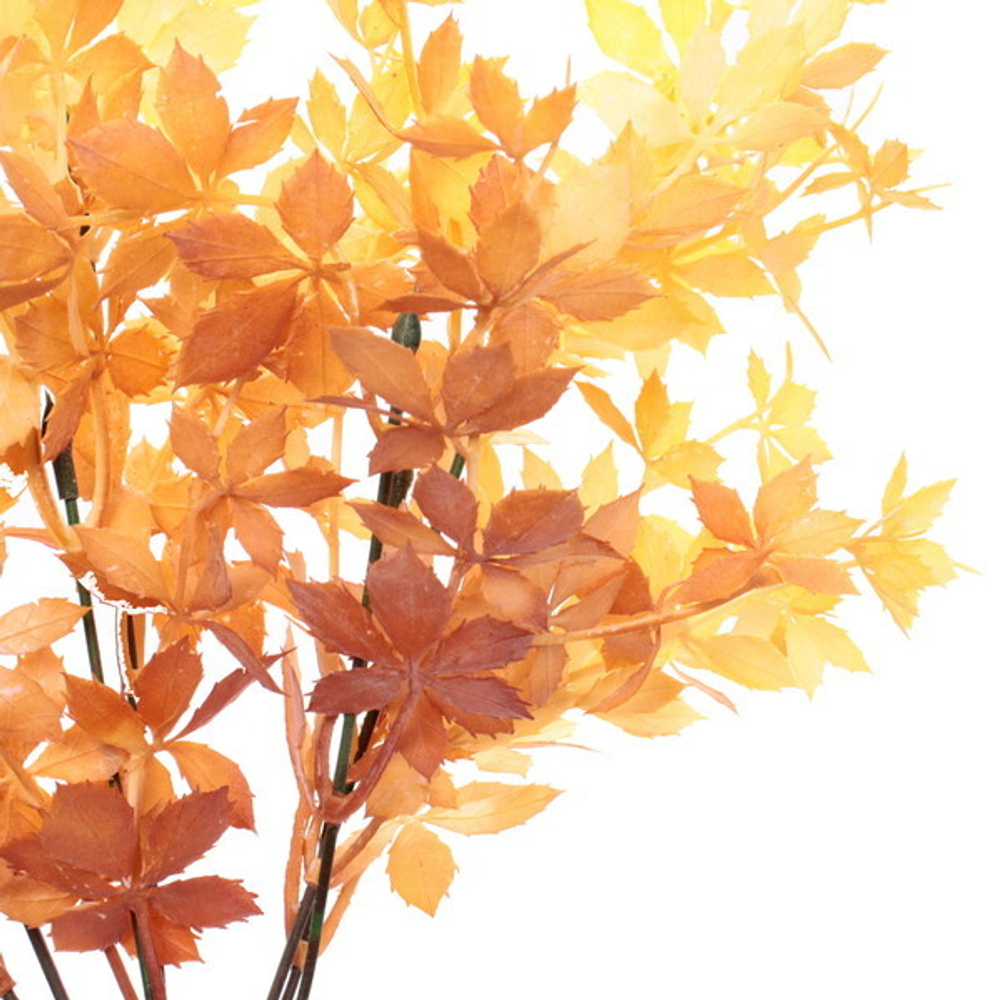 Искусственные цветы «Фантазия» 35см цвет персиковый 24