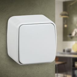 3-103-01 Intro Переключатель, 10А-250В, IP20, ОУ, Polo, белый | Intro