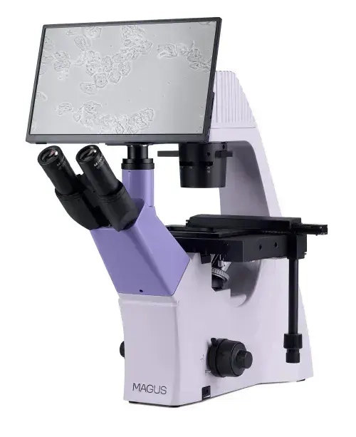 Микроскоп биологический инвертированный цифровой MAGUS Bio VD300 LCD