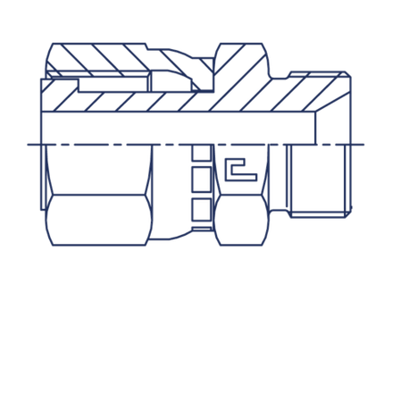 Адаптер AS D22-25 ORFS 1.7/16 - BSP 1