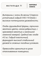 Семена тыквы Матильда F1 для посадки, 5 семян (Vita Green / Вита Грин)