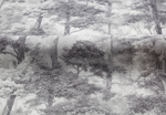 Palitra 1,06 м 72703-41