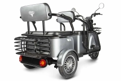 Трицикл Rutrike Экипаж пассажирский
