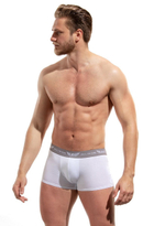 Мужские трусы-боксеры с брендом и крылышками на резинке (Размер: M) (Цвет: белый)