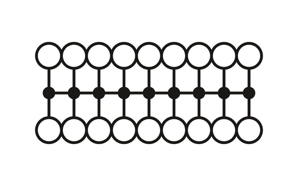 1019538 - PTVFIX 18X2,5-NS35A BU - Распределительный блок