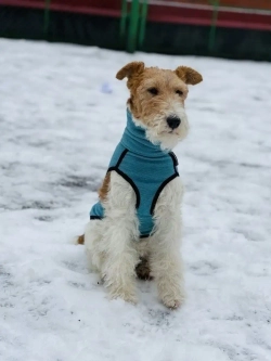 Свитер для собак на молнии попона