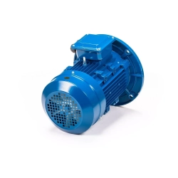 Электродвигатель 5АИ 100 L4 4/1500 IM3081
