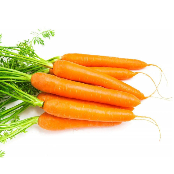 Юкон F1 семена моркови (Syngenta / ALEXAGRO) культура – фото 1