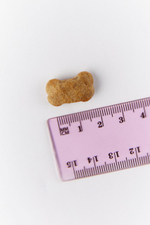 Сухой корм SHAMAN "Дух дикой природы" Ягненок с осетриной 5 кг; крупная гранула; для взрослых собак; Класс Холистик