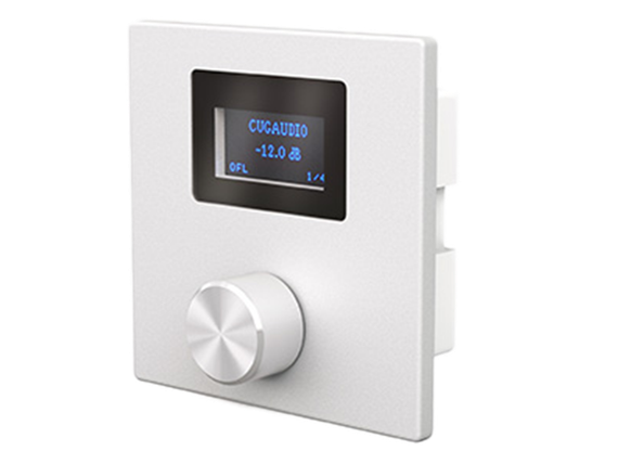 CVGAUDIO P-ZONER-W/IP/A настенная программируемая панель управления