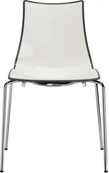 Zebra Bicolore 4 legs