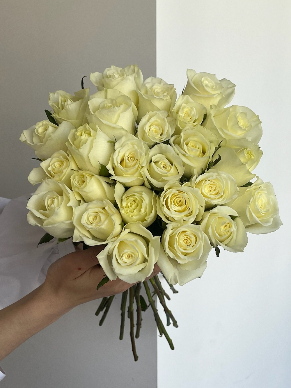 Букет из белой розы (40см) 25 шт под ленту