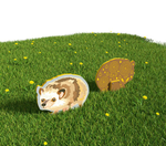 Уличный двусторонний модуль с сенсорными элементами Тактильный топиарий Животные леса