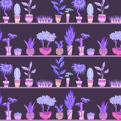 Неоновые домашние цветы на полках на темном фоне