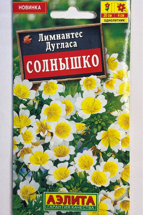 Лимнантес дугласа Солнышко СМЦ-663