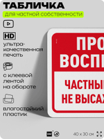 Табличка для частной территории "Проход воспрещен, частный причал", на дом, для участка, организаций, предупреждающая, 40х30 см, Silver Plane x Айдентика Технолоджи