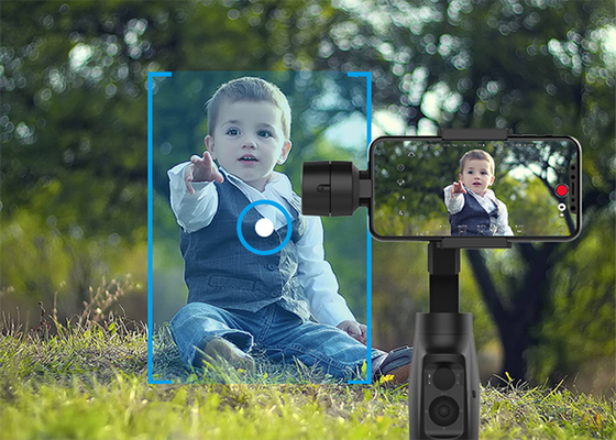 Стедикам Gudsen Moza Mini-Mi 2019