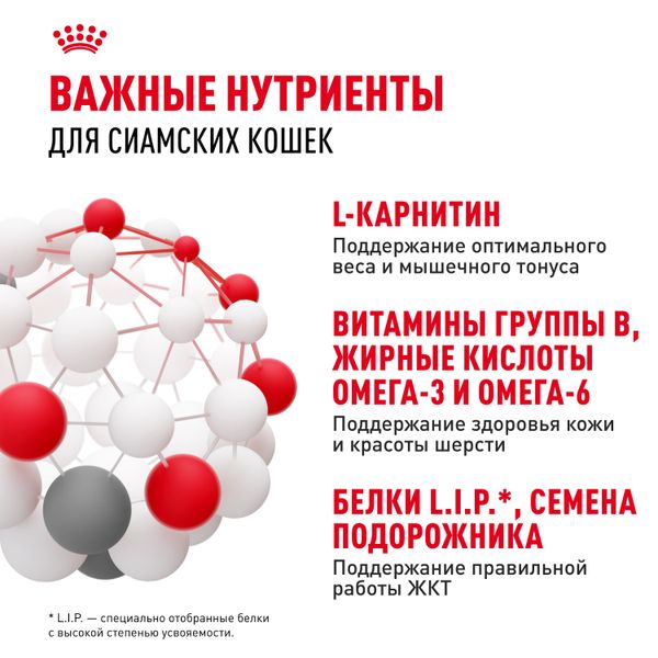 Сухой корм Royal Canin Siamese Adult для взрослых сиамских кошек от 12 месяцев
