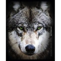 Dəftər Academy 80 vərəq skrepkalı А5 xətli 10158/5