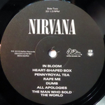 Nirvana / Nirvana (LP)