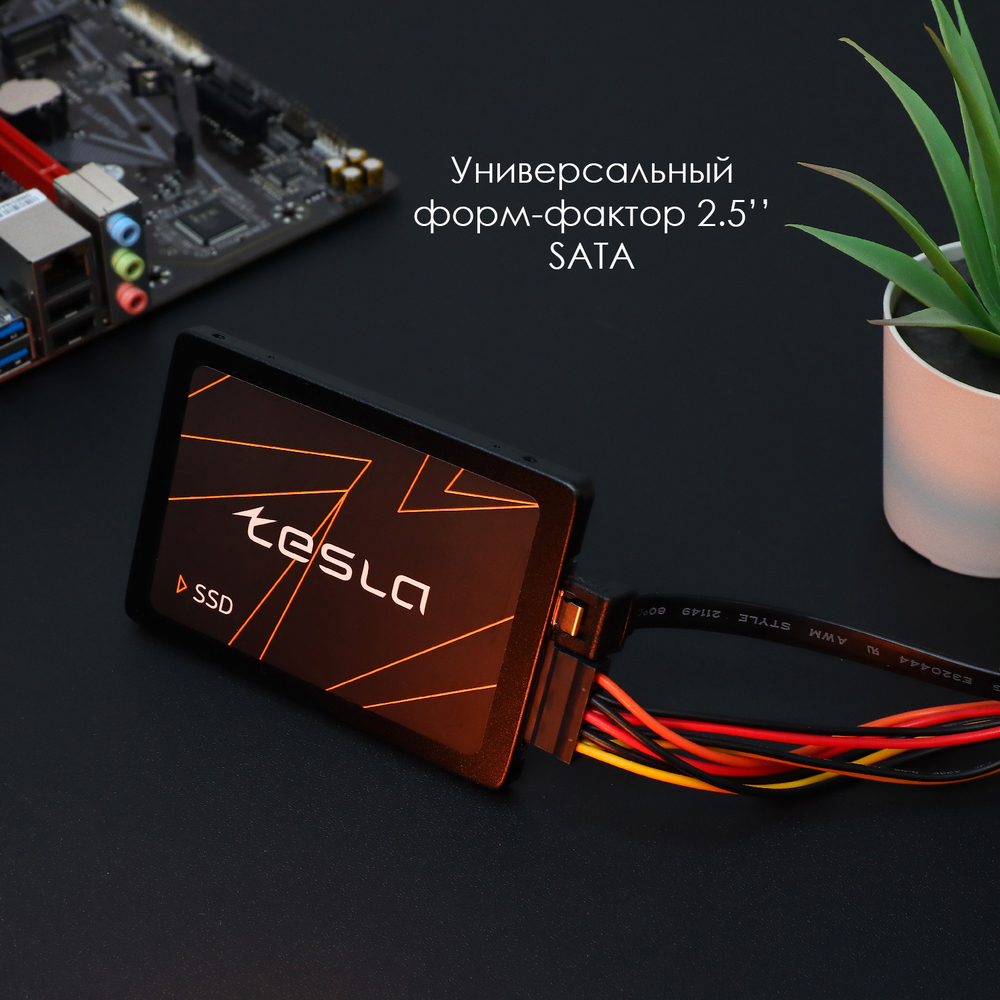 SSD TESLA 1Тб, 2.5", SATA3, Bulk, TLC, Чтение:550мб/с, Запись:500мб/с (SSDTSLA-1TBS3)