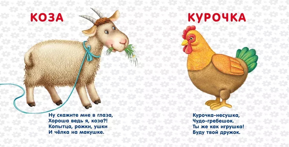 Книжки - картонки. Домашние животные