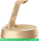 Портативная колонка BBK BTA1110 GD золотистый