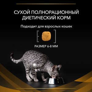 Сухой корм для кошек Pro Plan Veterinary Diets NF при начальной стадии хронической почечной недостаточности