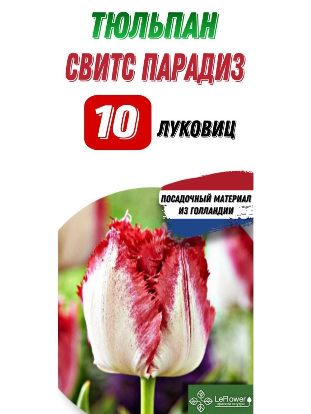 Тюльпан Луковица, Свитс Парадиз, 10шт