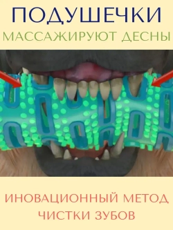 Игрушка для собак-палочка-кость-зубная щетка внутри