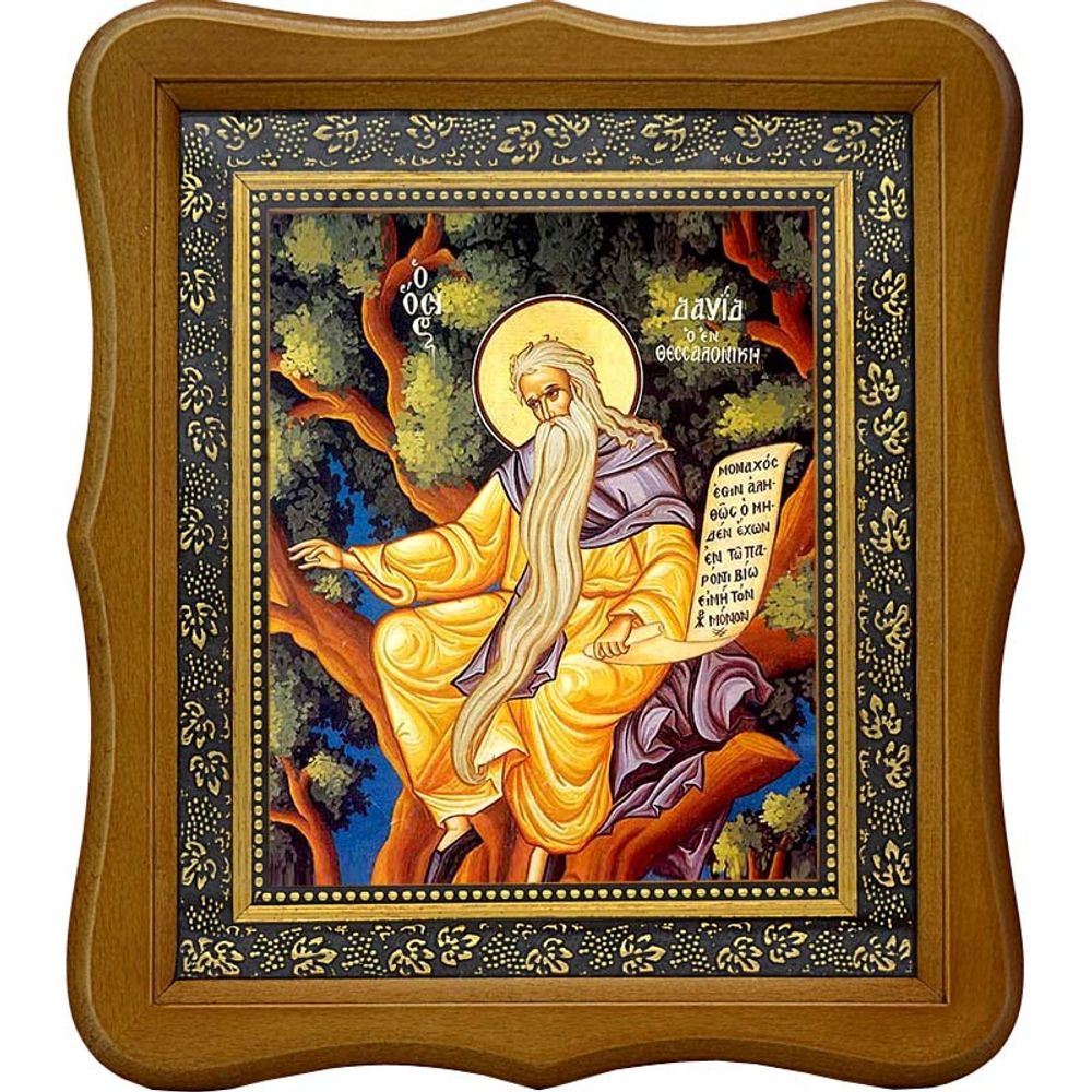 Давид Солунский (Фессалоникийский) Преподобный,  отшельник. Икона на холсте.