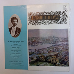 Винтажная виниловая пластинка LP Иоганн Штраус Трик-Трак (СССР 1982)
