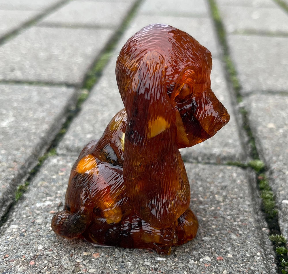 Щенок Бассет-хаунд