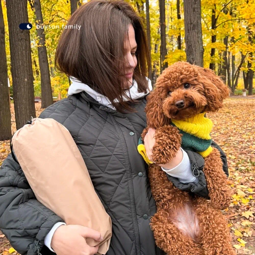 Пенная подушка для путешествий BuyTour (в дорожном чехле)