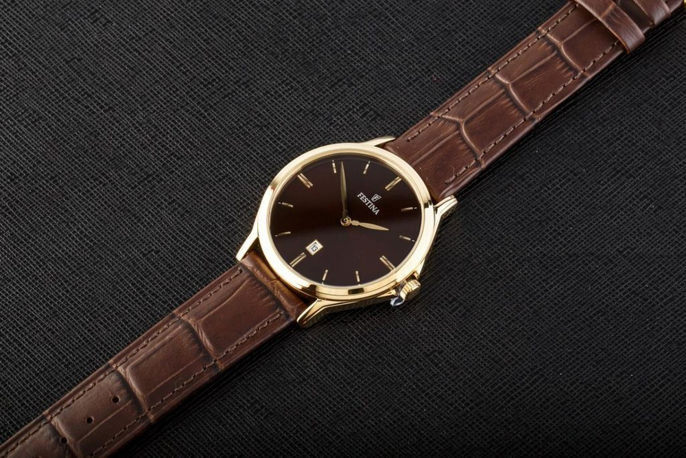 Мужские наручные часы Festina F16747/3
